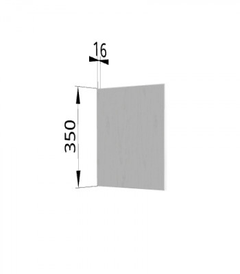 Панель торцевая (для шкафа горизонтального) ПГ Ройс (Графит софт) в Половинном - polovinnoe.mebel54.com | фото