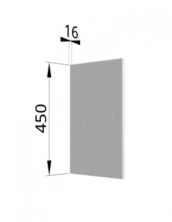 Панель торцевая (для шкафа горизонтального высокого) ВПГ Ройс (Графит софт) в Половинном - polovinnoe.mebel54.com | фото